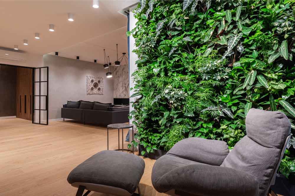 eco-sustainable office